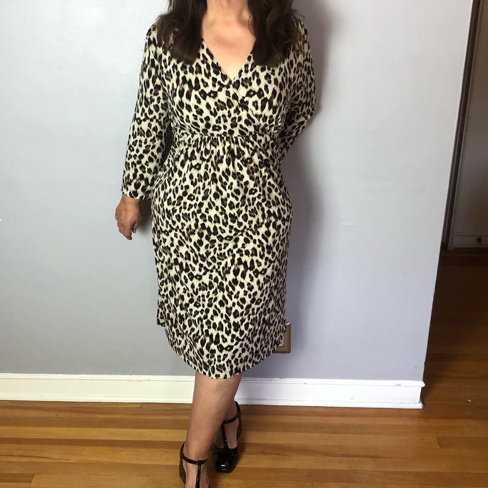Chico’s Animal Print Dress Empire Waist Sz 16
